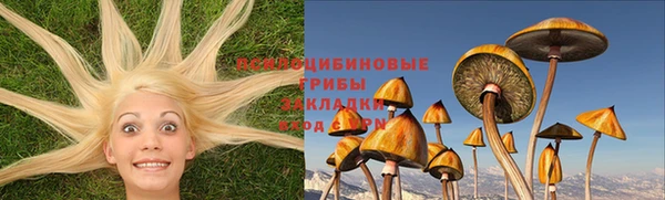 героин Новодвинск