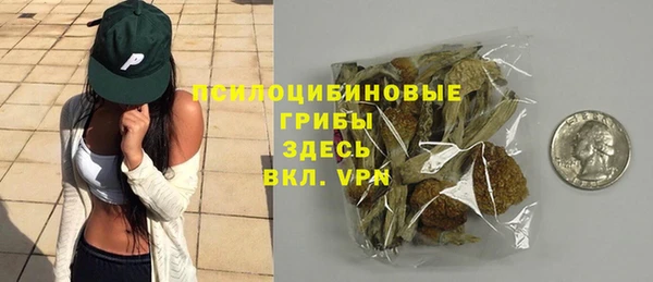 эйфоретик Новозыбков